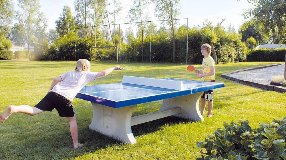 میز پینگ پنگ پارکی