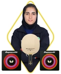 ستایش ایلوخانی