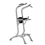 پارالل بارفیکس LS-131